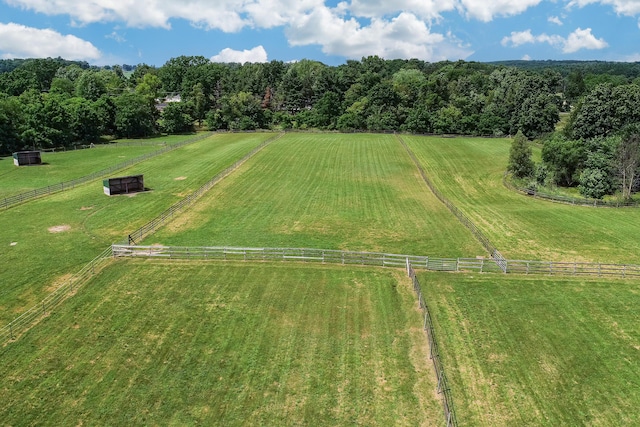 2699 Cedar Lake Rd, Howell, MI 48843 - photo 73