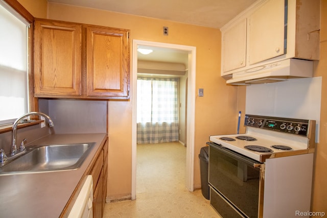 10044 Arnold, Redford, MI 48239 - photo 11