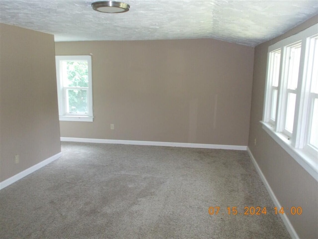 8350 Willow Rd, Milan, MI 48160 - photo 17