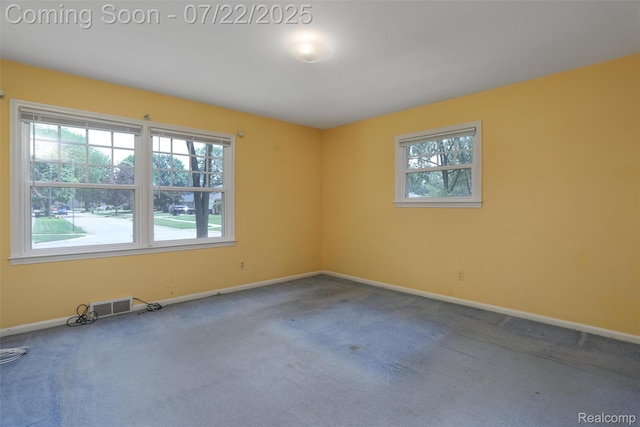 21235 River Rd, Grosse Pointe Woods, MI 48236 - photo 19