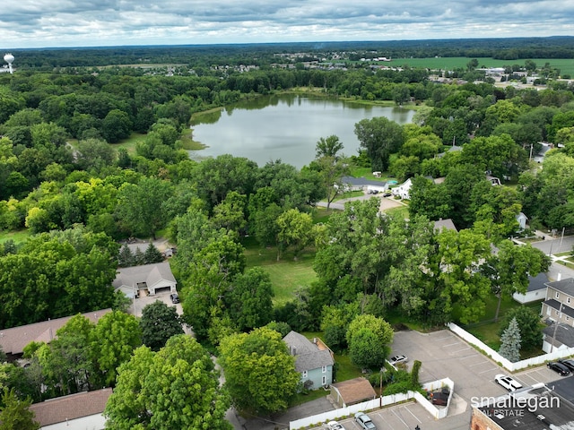 128 Mill St SE, Caledonia, MI 49316 - photo 43