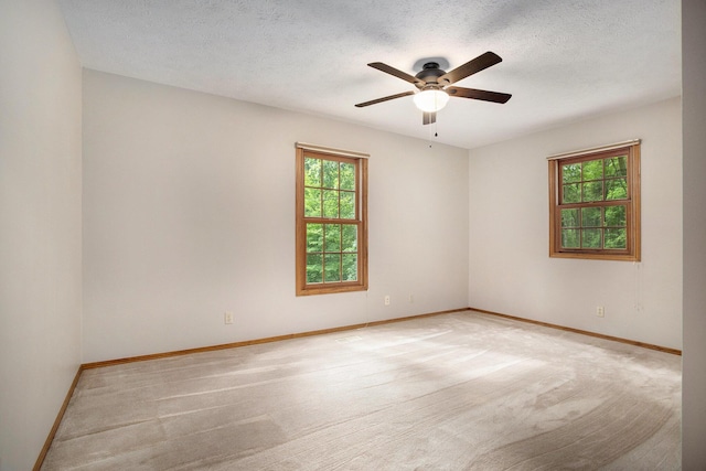 10950 W Dr N, Bellevue, MI 49021 - photo 20