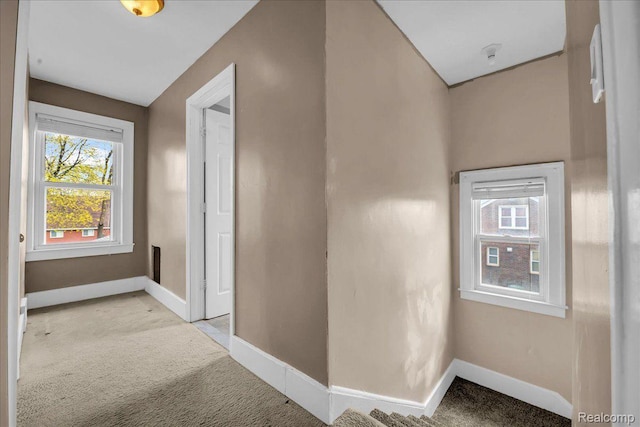 4636 Ternes St, Dearborn, MI 48126 - photo 20
