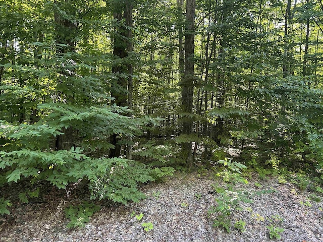 LOT41 Heideldorf Ln, Bellaire, MI 49615 - photo 2