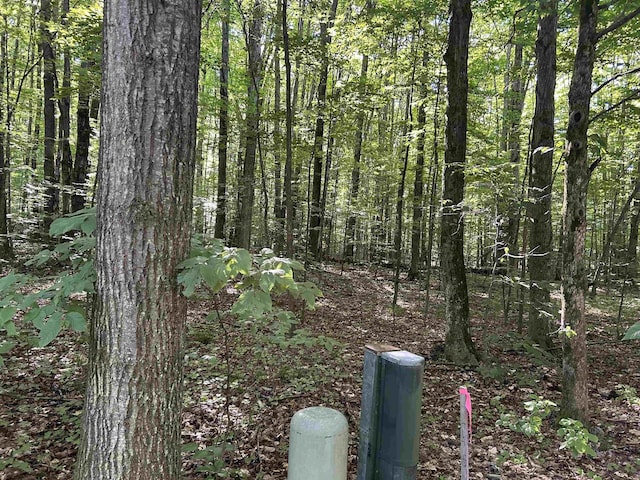 LOT41 Heideldorf Ln, Bellaire, MI 49615 - photo 3