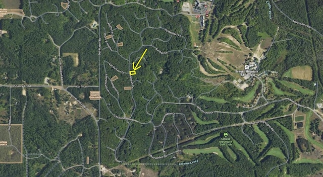 LOT41 Heideldorf Ln, Bellaire, MI 49615 - photo 6