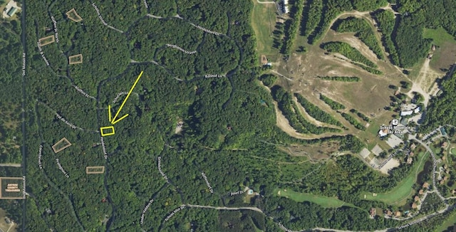 LOT41 Heideldorf Ln, Bellaire, MI 49615 - photo 7