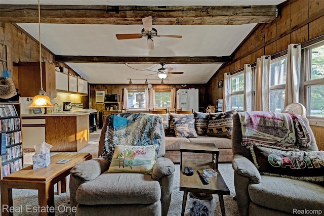 5578 Alvin Rd, Oscoda, MI 48750 - photo 10