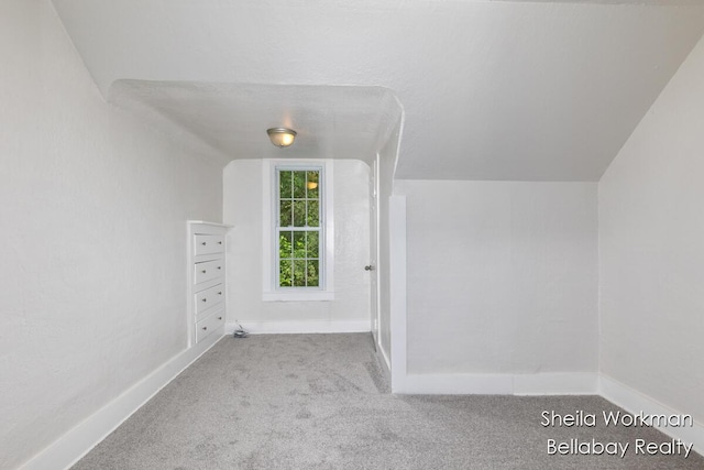 302 E Thorn St, Hastings, MI 49058 - photo 17
