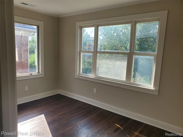 3330 Sturtevant St, Northville, MI 48206 - photo 21