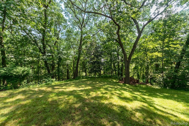 6939 W Ridge Dr, Brighton, MI 48116 - photo 23