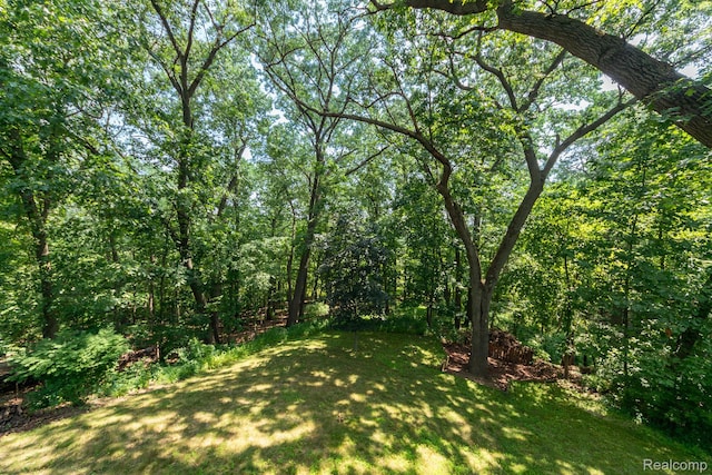 6939 W Ridge Dr, Brighton, MI 48116 - photo 24