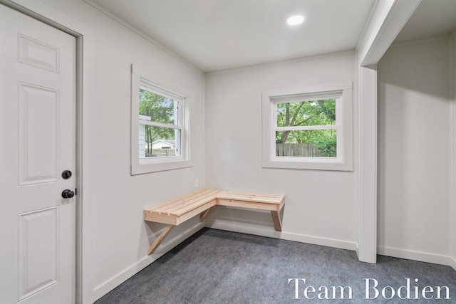 4115 Nazareth Rd, Kalamazoo, MI 49004 - photo 23