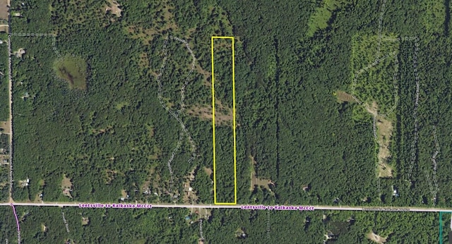 LOTS56 NE Covert Rd, Mancelona, MI 49659 - photo 1
