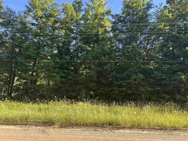 LOTS56 NE Covert Rd, Mancelona, MI 49659 - photo 3
