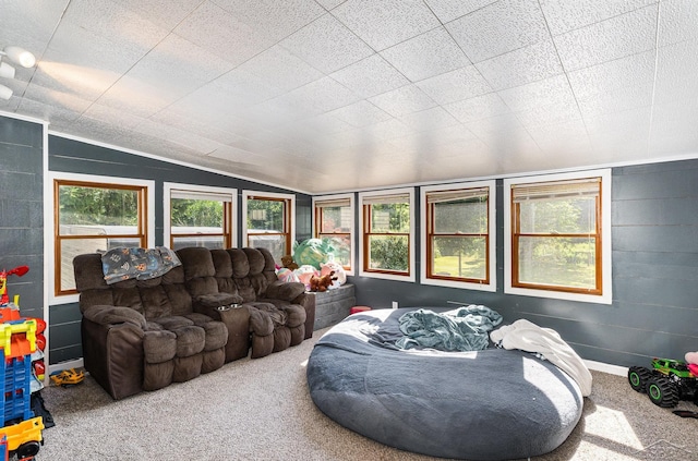 4625 N Hemlock Rd, Hemlock, MI 48626 - photo 10