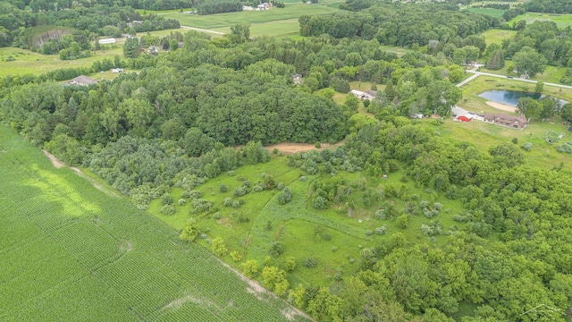 4625 N Hemlock Rd, Hemlock, MI 48626 - photo 32