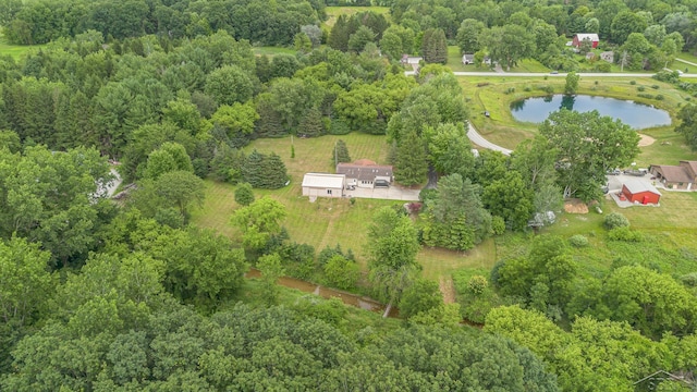4625 N Hemlock Rd, Hemlock, MI 48626 - photo 29