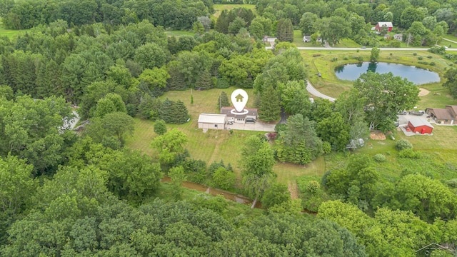 4625 N Hemlock Rd, Hemlock, MI 48626 - photo 30