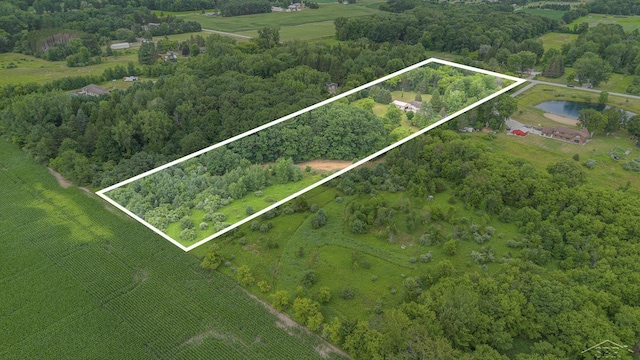 4625 N Hemlock Rd, Hemlock, MI 48626 - photo 33