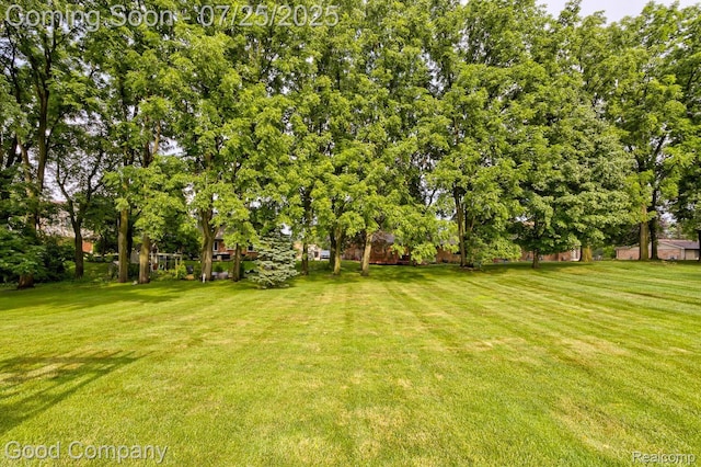 22572 Elena Dr, Farmington, MI 48335 - photo 49