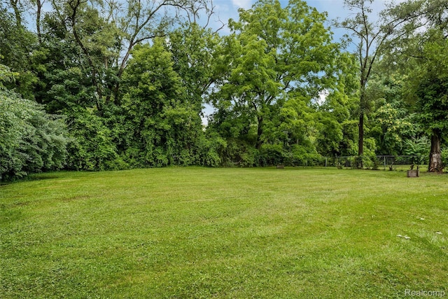 15685 Lenore, Redford, MI 48239 - photo 32