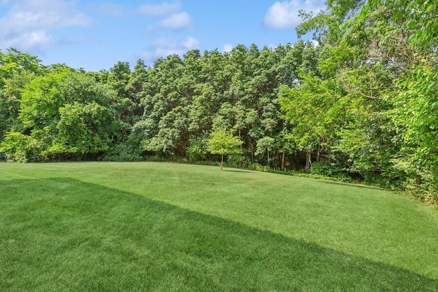 2949 Pagoda Path, Stevensville, MI 49127 - photo 79