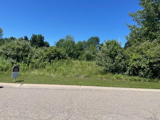 6460 Atlas Lakes Dr, Goodrich, MI 48411 - photo 2