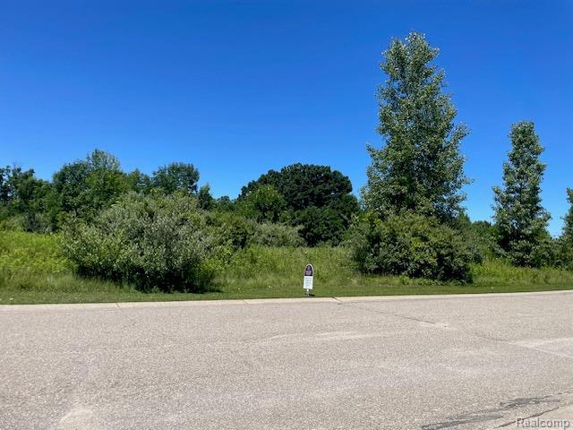 6460 Atlas Lakes Dr, Goodrich, MI 48411 - photo 3