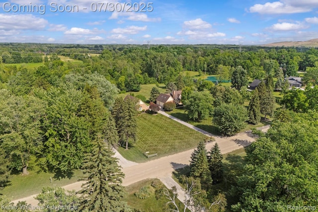9150 Chubb Rd, Northville, MI 48167 - photo 59