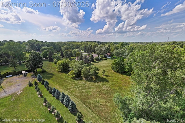 9150 Chubb Rd, Northville, MI 48167 - photo 54