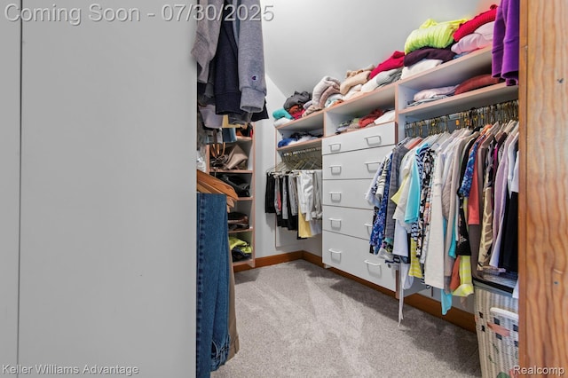 9150 Chubb Rd, Northville, MI 48167 - photo 32