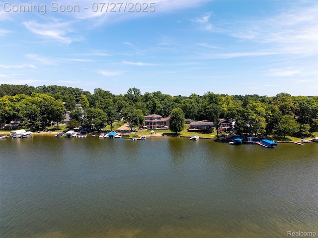 16217 Cove Dr, Linden, MI 48451 - photo 52