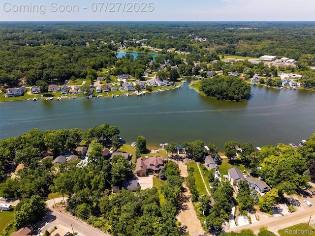 16217 Cove Dr, Linden, MI 48451 - photo 50