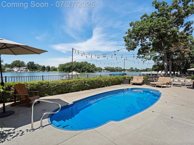 16217 Cove Dr, Linden, MI 48451 - photo 47