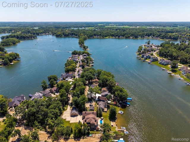 16217 Cove Dr, Linden, MI 48451 - photo 51