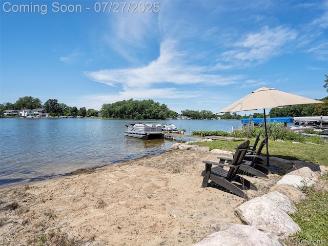 16217 Cove Dr, Linden, MI 48451 - photo 4