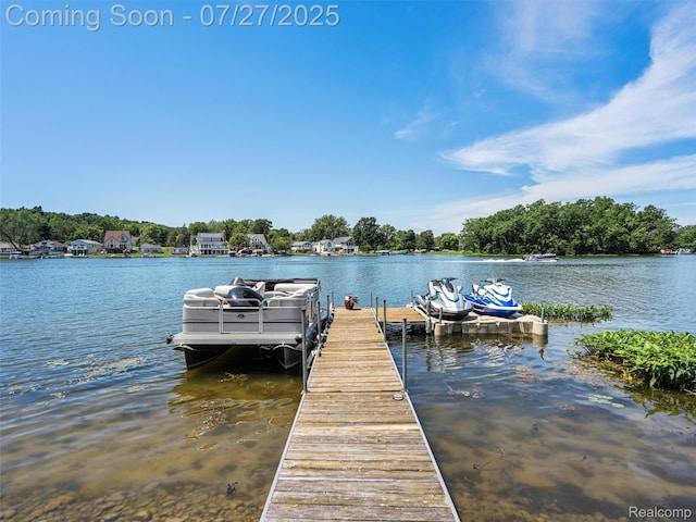 16217 Cove Dr, Linden, MI 48451 - photo 54
