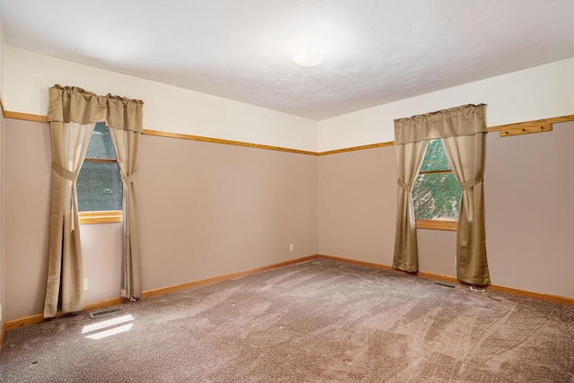6060 152nd Ave, West Olive, MI 49460 - photo 5