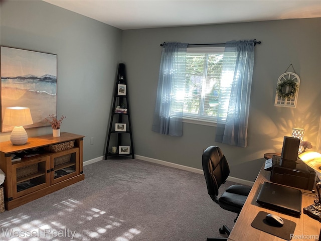 57271 Silver Maple Dr Unit 10, Washington, MI 48094 - photo 13