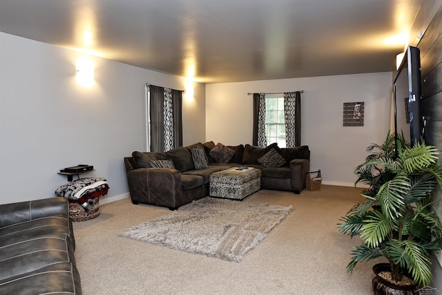 4855 N Arboretum Dr, Saginaw, MI 48638 - photo 27
