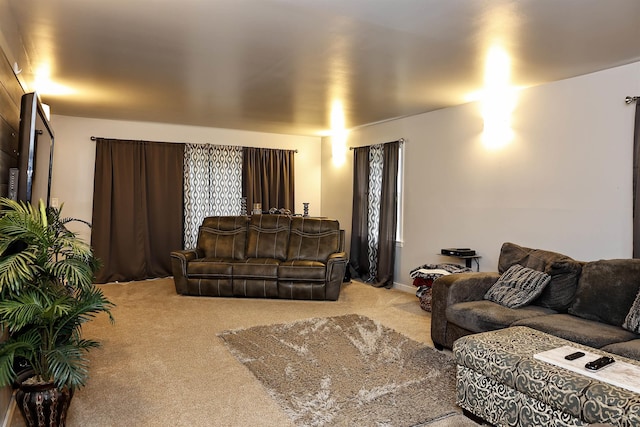 4855 N Arboretum Dr, Saginaw, MI 48638 - photo 26