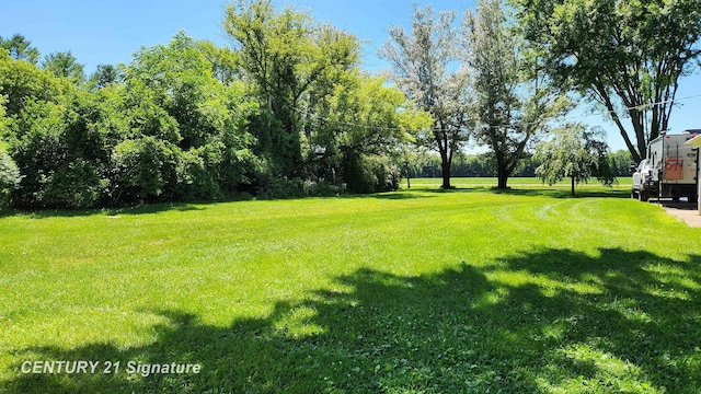 10320 Frances Rd, Flushing, MI 48433 - photo 18