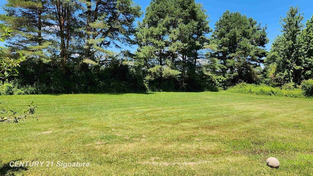 10320 Frances Rd, Flushing, MI 48433 - photo 16
