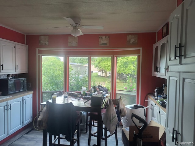 40665 Drury Rd, Sterling Heights, MI 48310 - photo 11