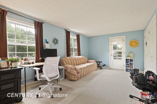 2411 Adams Blvd, Saginaw, MI 48602 - photo 30