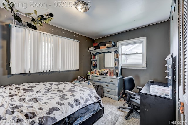 11864 Camden St, Livonia, MI 48150 - photo 7