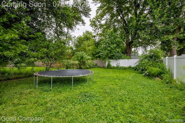 11864 Camden St, Livonia, MI 48150 - photo 15