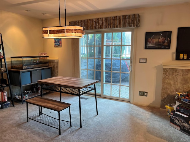 516 River Pointe Cir, Milan, MI 48161 - photo 17