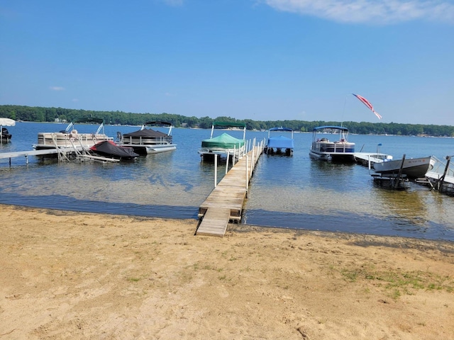 8176 W Pine Gove Beach Dr, Baldwin, MI 49304 - photo 5